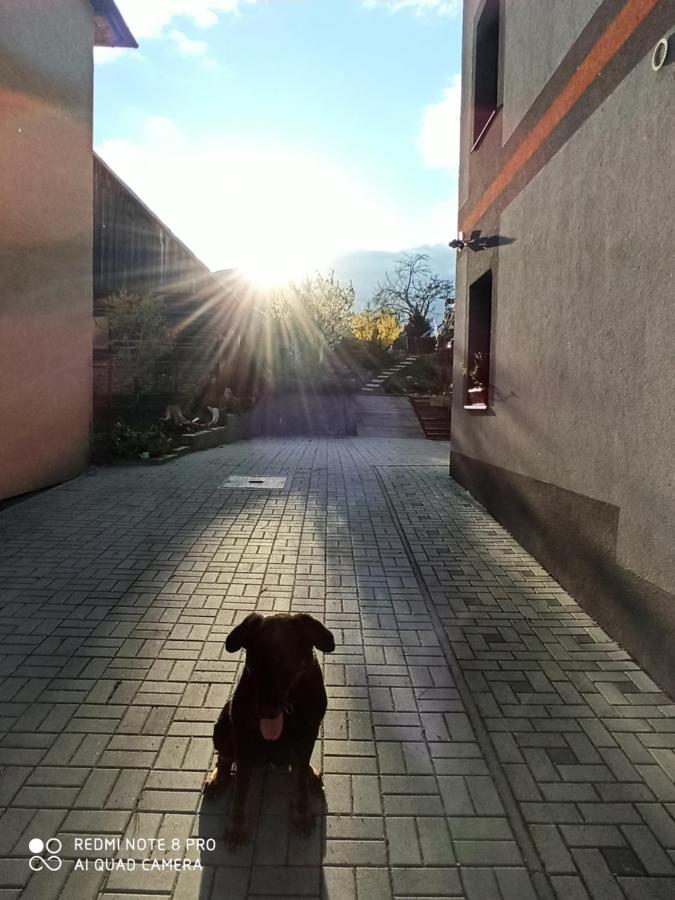 Apartmany Adavy Liptovský Mikuláš Dış mekan fotoğraf